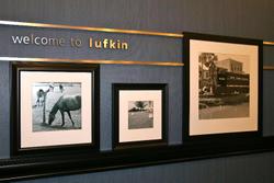 Hampton Inn & Suites Lufkin