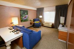 Hilton Garden Inn Rochester Downtown 