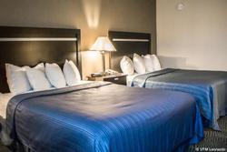 Quality Inn Central Albany