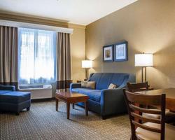 Comfort Inn & Suites Colonial