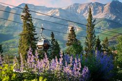 Mountain Lodge Telluride