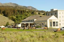 Mammoth Hot Springs Hotel