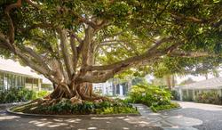 Fairmont Miramar Hotel & Bungalows