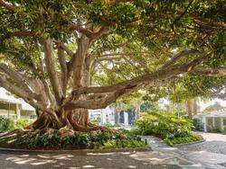 Fairmont Miramar Hotel & Bungalows