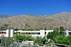Ace Hotel Palm Springs