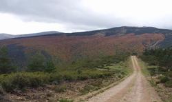 Real Valle Ezcaray