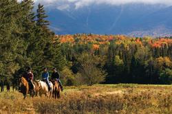 Omni Mount Washington Resort