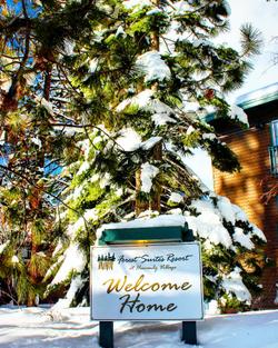 Forest Suites Resort