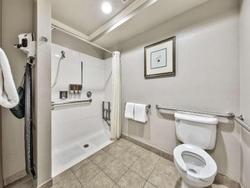 Forest Suites Resort