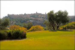Cigarral el Bosque