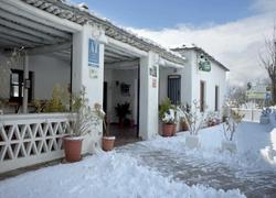 La Oveja Verde
