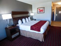 Country Inn & Suites by Radisson DFW Airport South