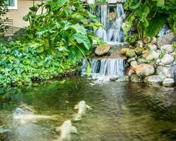 Comfort Inn Modesto