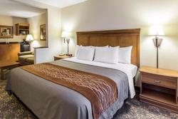 Comfort Inn & Suites Tifton Area
