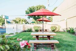 Quality Inn Ukiah Area