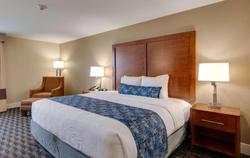 Best Western Plus Greenville I-385 Inn & Suites