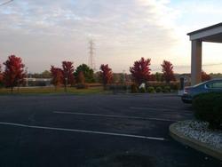 Comfort Inn