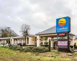 Comfort Inn & Suites Sequoia Kings Canyon
