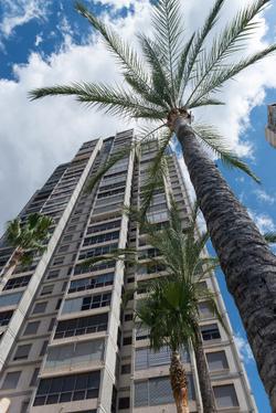 Apartamentos Gemelos  20