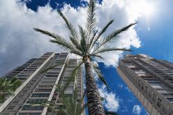 Apartamentos Gemelos  20