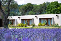 Hotel Mas del Sol