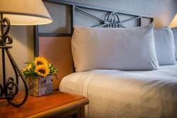 Winter Park Mountain Lodge