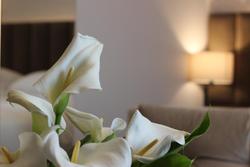 Riva Hotel Nisantasi