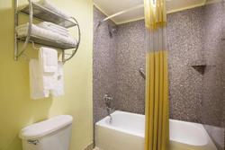Baymont by Wyndham Tampa Near Busch Gardens