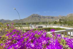 Apartamentos Massol