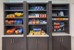 Holiday Inn Express & Suites Tampa-I-75