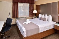 Best Western Hollywood Plaza Inn - Hollywood Walk