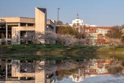 Westin Washington Dulles Airport
