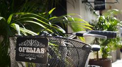 Ofelias Hotel