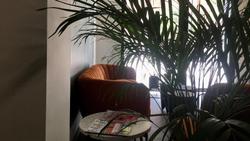 B&B Mare de Deu Jardines del Turia