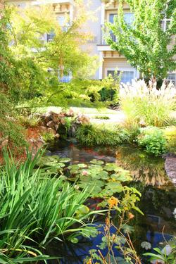 Hampton Inn Ukiah