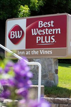 Best Western Plus Inn At The Vines