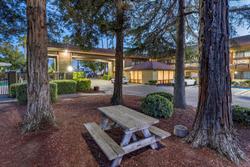 Best Western Orchard Inn