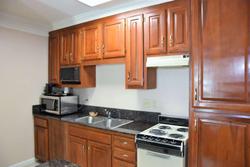 Best Western Spring Hill Inn & Suites