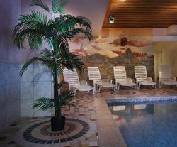 Oz en Oisans - Chalet des Neiges