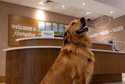 Hampton Inn & Suites Knoxville-Turkey Creek/Farrag