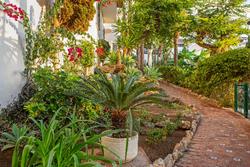 Royal Oasis Club at Pueblo Quinta