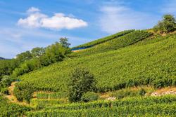 Best Western Plus Hotel & SPA Le Schoenenbourg