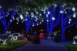 Moody Gardens Hotel & Spa Convention Center