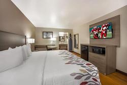 RED ROOF INN SUITES THOMASVILLE