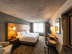 Holiday Inn Newark International Airport-North