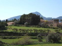 Finca Hotel Son Pont