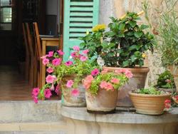 Casa Bougainvillea