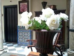 Hotel Rosa D oro