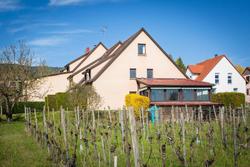 James Vignoble Hotel Eguisheim