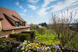 James Vignoble Hotel Eguisheim